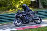 Middle Group Black Bikes